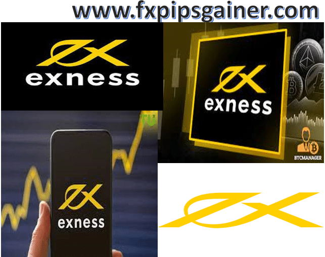 Exploring the Features and Benefits of Exness Web Platform Exploring the Features and Benefits of Exness Web Platform